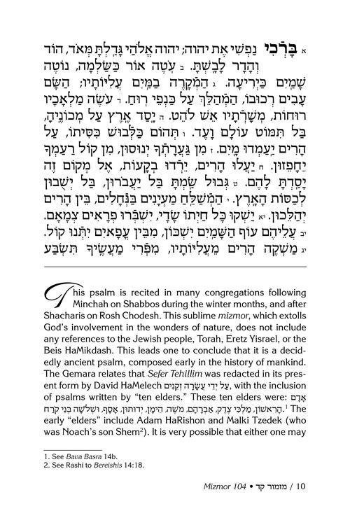 Rav Schwab on Selections of Tehillim – תמונה 2