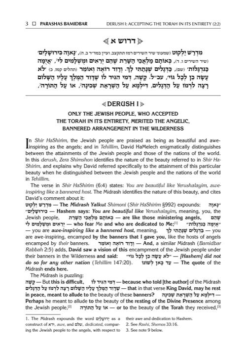 Sefer Zera Shimshon – Bamidbar – Haas Family Edition – תמונה 2