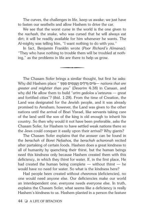 A Life of Bitachon – תמונה 4