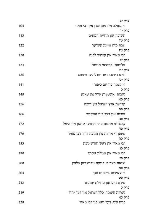 Rebbi Meir Baal Haness – Yiddish Edition – תמונה 6