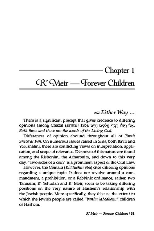 Rebbi Meir Baal Haness and the Eternal Children of Hashem – תמונה 2