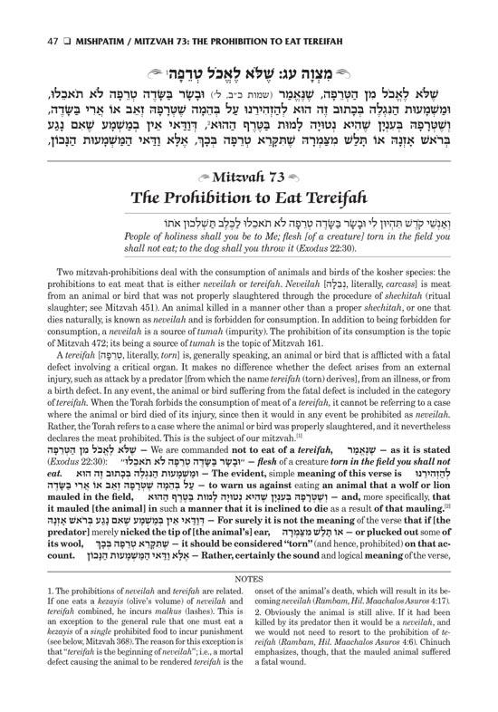 Sefer Hachinuch / Book of Mitzvos Schottenstein Edition – Volume #2 – תמונה 2