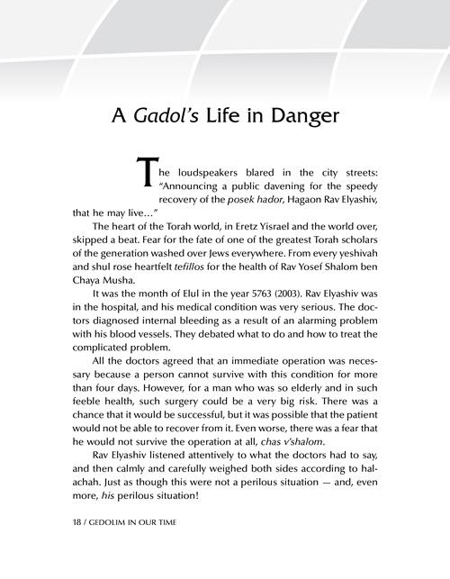 Gedolim in Our Time: Stories about R’ Chaim Kanievsky & R’ Gershon Edelstein – תמונה 4