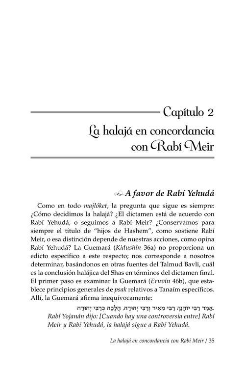 Rebbi Meir Baal Haness and the Eternal Children of Hashem- Spanish Edition – תמונה 2
