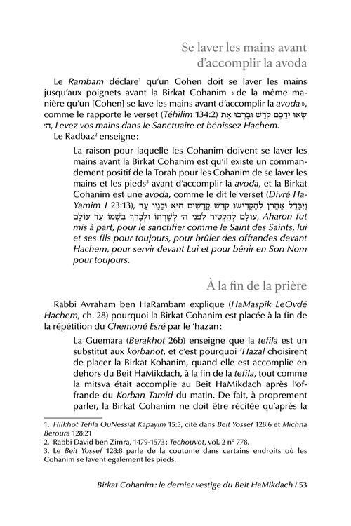 The Priceless Treasure of Bircas Kohanim – French Edition – תמונה 3