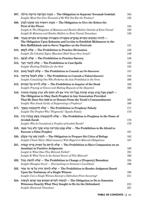 Sefer Hachinuch / Book of Mitzvos Schottenstein Edition – Volume #9 – תמונה 6