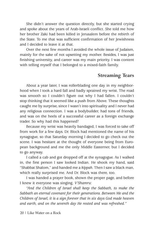 Like Water on a Rock – תמונה 5