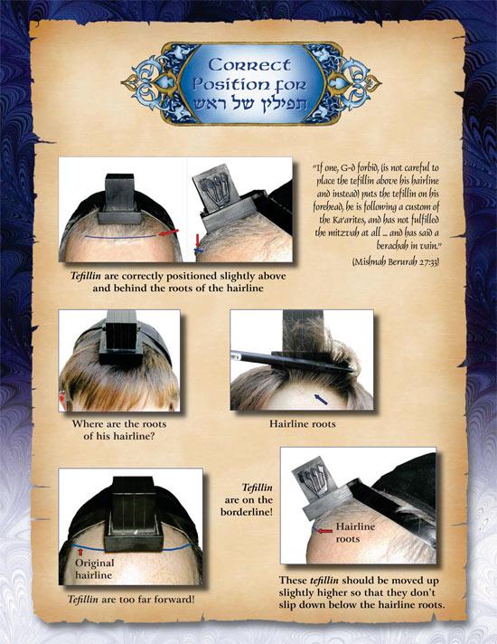 The Life Cycle Series Slipcased Set – תמונה 4