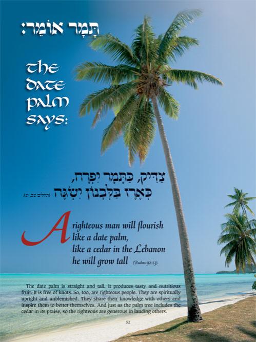 Perek Shirah – The Song of the Universe – Pocket Size – תמונה 3