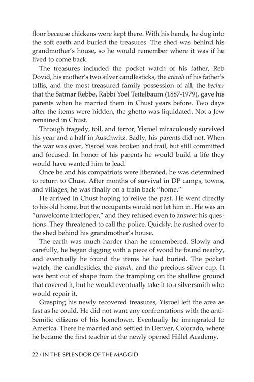 In the Splendor of the Maggid – תמונה 3
