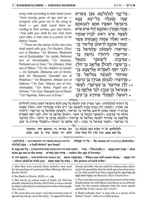 Sapirstein Edition Rashi – 4 – Bamidbar – Student Size – תמונה 3