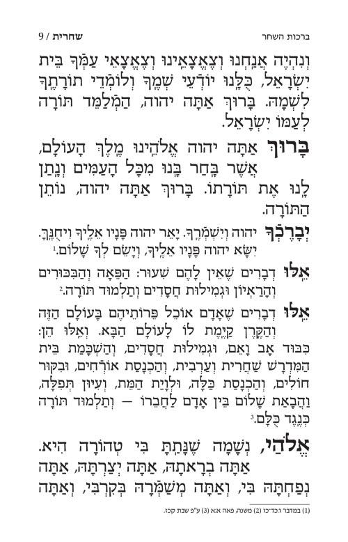 Siddur Yitzchak Yair Weekday Only Ashkenaz Large Type Mid Size – Signature Leather – Royal Brown – תמונה 3