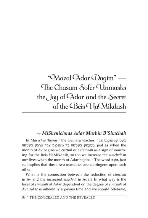 The Concealed and the Revealed – Pocket Size – תמונה 2