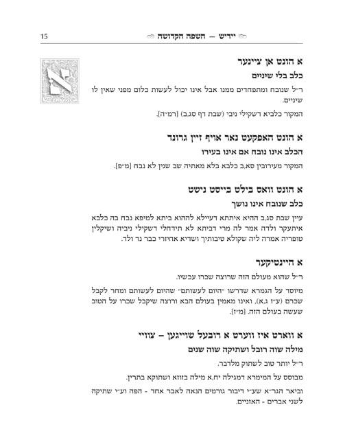 Yiddish – A Holy Language – Gift Size complete in 1 volume – תמונה 6