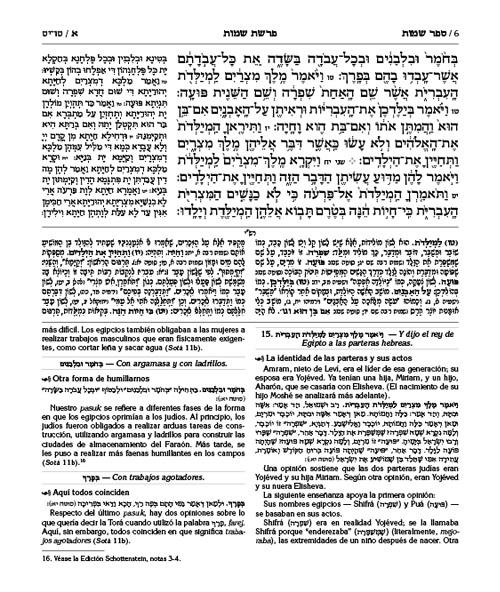 Spanish Edition of Chumash with the Teachings of the Talmud -Wengrowsky Edition – תמונה 6