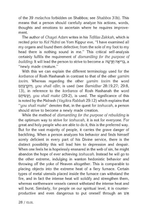 Rav Pam on the Festivals – תמונה 3