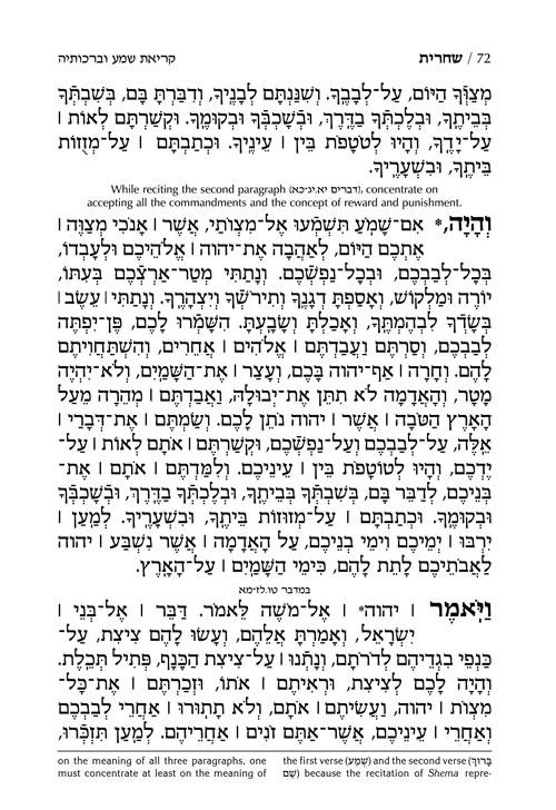 Pocket Size – Women’s Siddur – Ohel Sarah – Sefard -The Klein Ed. – Signature Leather – Royal Blue – תמונה 7