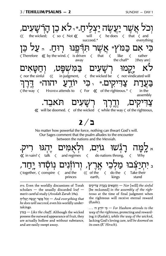 Signature Leather Collection Full-Size Schottenstein Interlinear Tehillim White – תמונה 3
