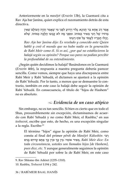 Rebbi Meir Baal Haness and the Eternal Children of Hashem- Spanish Edition – תמונה 3