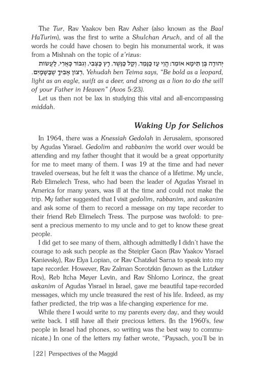 Perspectives of the Maggid – תמונה 3