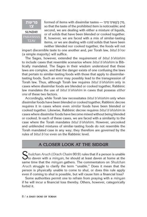 A DAILY DOSE OF TORAH SERIES 2 Vol 07: Weeks of Tzav through Metzorah – תמונה 8