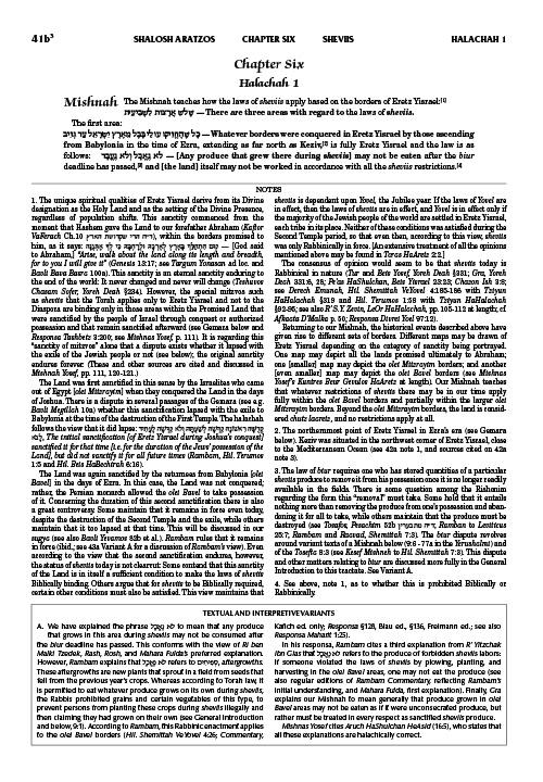 Schottenstein Talmud Yerushalmi – English Edition Daf Yomi Size – Tractate Shviis vol 2 (41b-87b) – תמונה 3