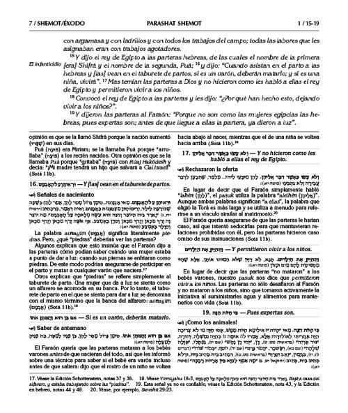Spanish Edition of Chumash with the Teachings of the Talmud -Wengrowsky Edition – תמונה 7