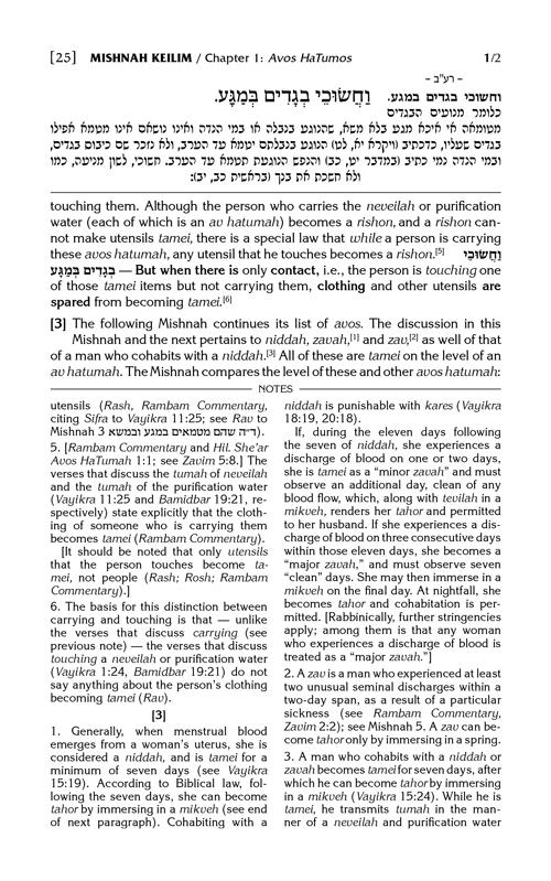 Schottenstein Edition of the Mishnah Elucidated – Complete 23 Volume Set – תמונה 5