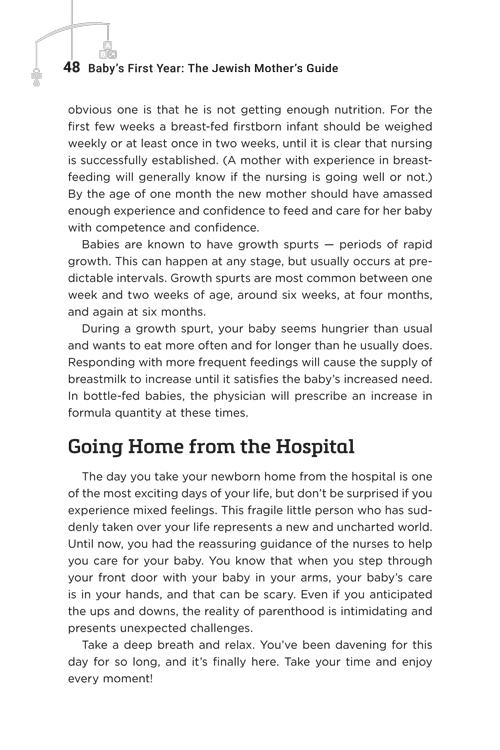 Baby’s First Year: The Jewish Mother’s Guide – תמונה 23