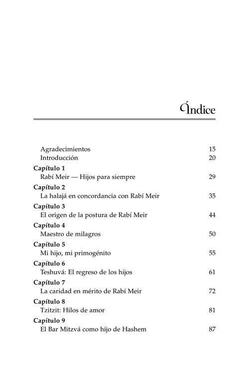 Rebbi Meir Baal Haness and the Eternal Children of Hashem- Spanish Edition – תמונה 5