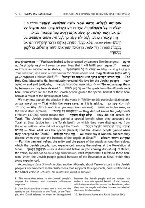 Sefer Zera Shimshon – Bamidbar – Haas Family Edition – תמונה 4
