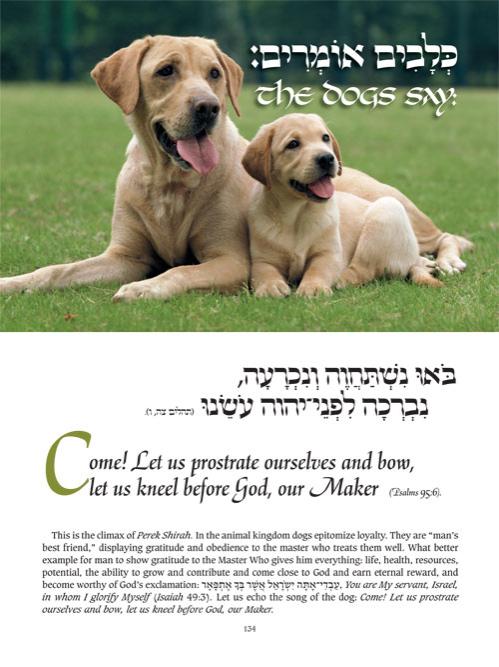 Perek Shirah – The Song of the Universe – Full Size – תמונה 9