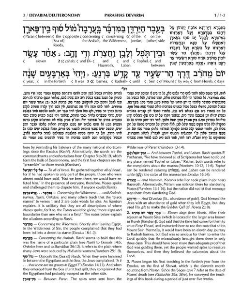Schottenstein Ed Interlinear Chumash Vol 5: Devarim / Deuteronomy – תמונה 4