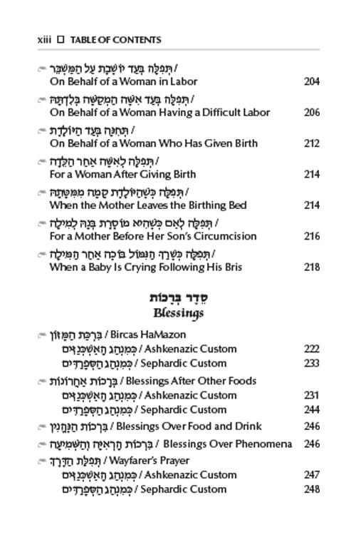 TEFILASI : Personal Prayers for Women – Signature Leather Iris Purple – תמונה 11