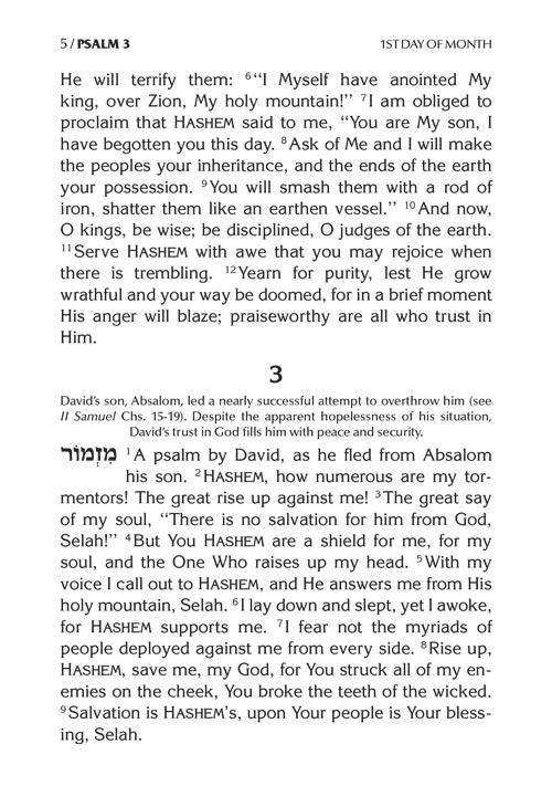Tehillim Mechulak – Tehillas Leah Sarah Edition – תמונה 5
