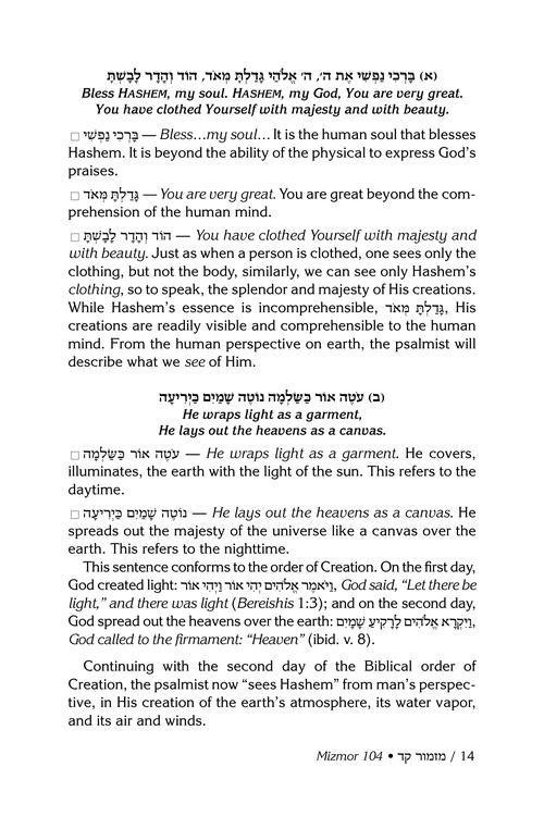 Rav Schwab on Selections of Tehillim – תמונה 6