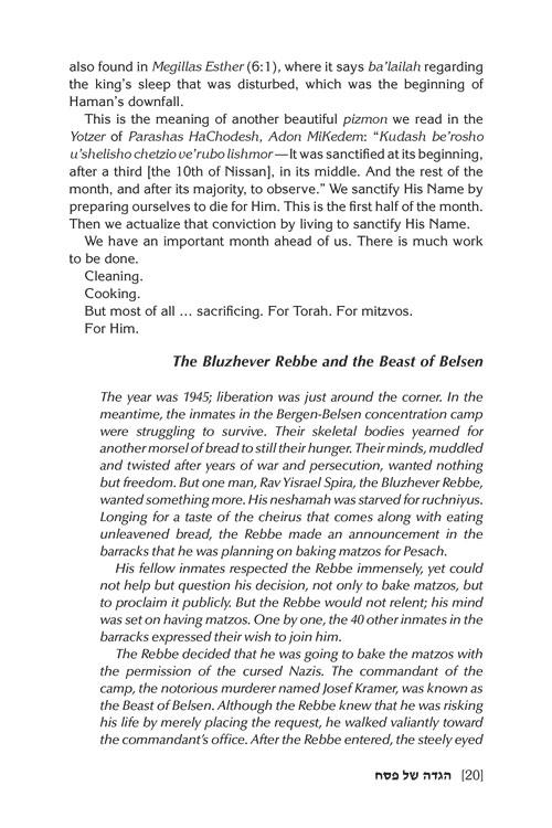 Haggadah Touched by Our Story – תמונה 5