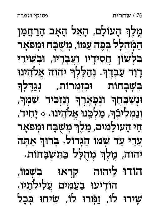 סידור ענק לימות החול אשכנז עם הוראות באנגלית – תמונה 3