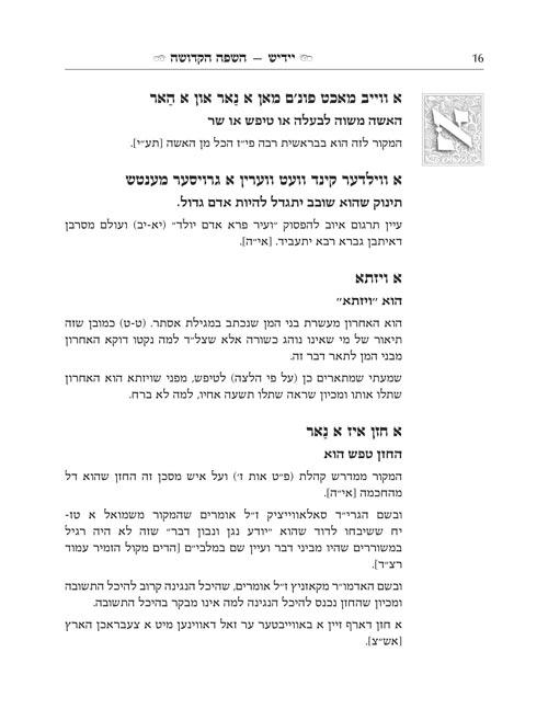 Yiddish – A Holy Language – Gift Size complete in 1 volume – תמונה 7