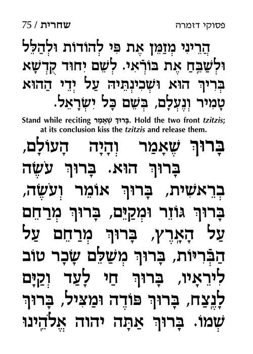 סידור ענק לימות החול אשכנז עם הוראות באנגלית – תמונה 2