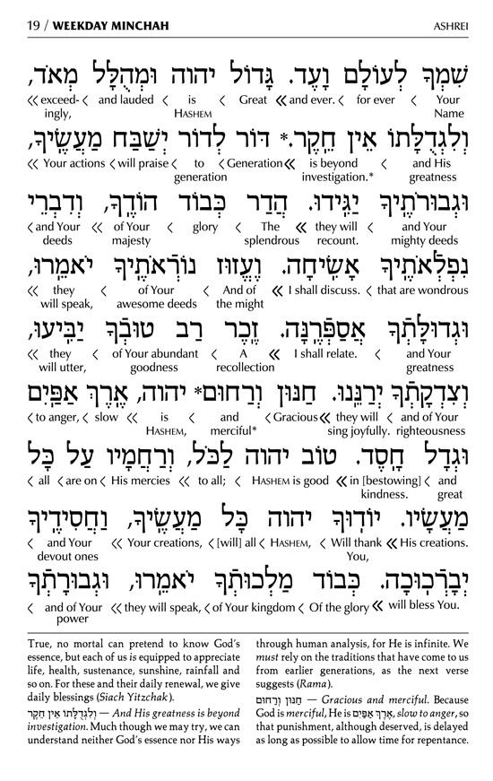 Siddur Interlinear Sabbath & Festivals Pocket Size Ashkenaz Schottenstein Ed – Signature Leather – Black – תמונה 8