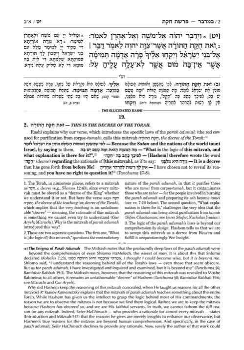 Schottenstein Edition The Elucidated Rashi on Chumash – Bamidbar volume 2: Chukas – Masei – תמונה 2