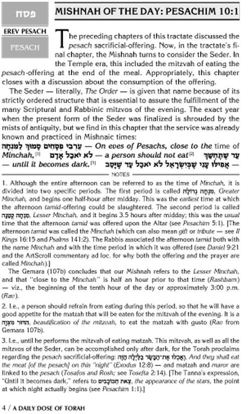 A DAILY DOSE OF TORAH SERIES 1 Vol 14: The Festivals and Days of Awe – תמונה 4