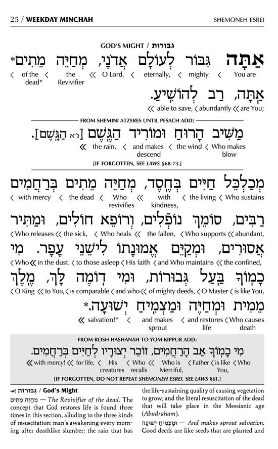 Siddur Interlinear Sabbath & Festivals Pocket Size Ashkenaz Schottenstein Ed – תמונה 14