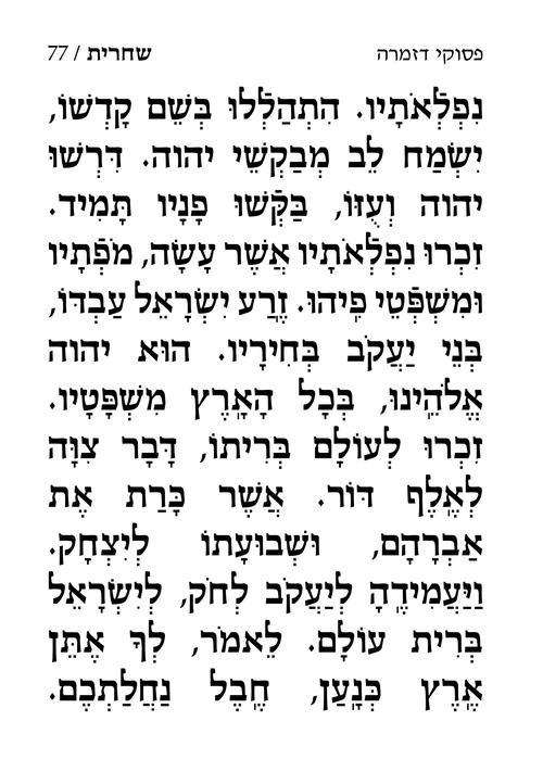 סידור ענק לימות החול אשכנז עם הוראות באנגלית – תמונה 4