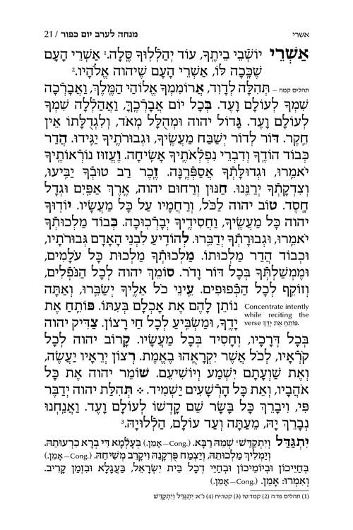 מחזור יום כיפור ספרד עברית שליח ציבור עם הוראות באנגלית – תמונה 2