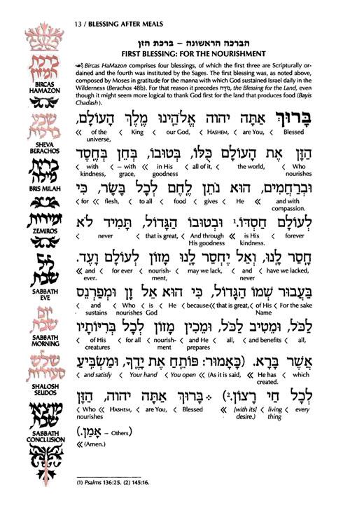 Schottenstein Ed Interlinear Family Zemiros / Bircas HaMazon – Leatherette Cover – תמונה 2