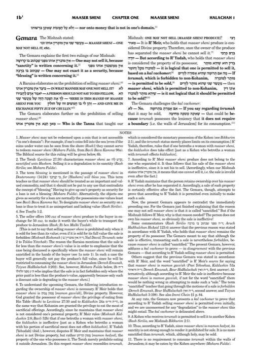 Schottenstein Talmud Yerushalmi – English Edition Daf Yomi Size – Tractate Maaser Sheni – תמונה 3
