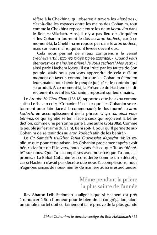 The Priceless Treasure of Bircas Kohanim – French Edition – תמונה 5