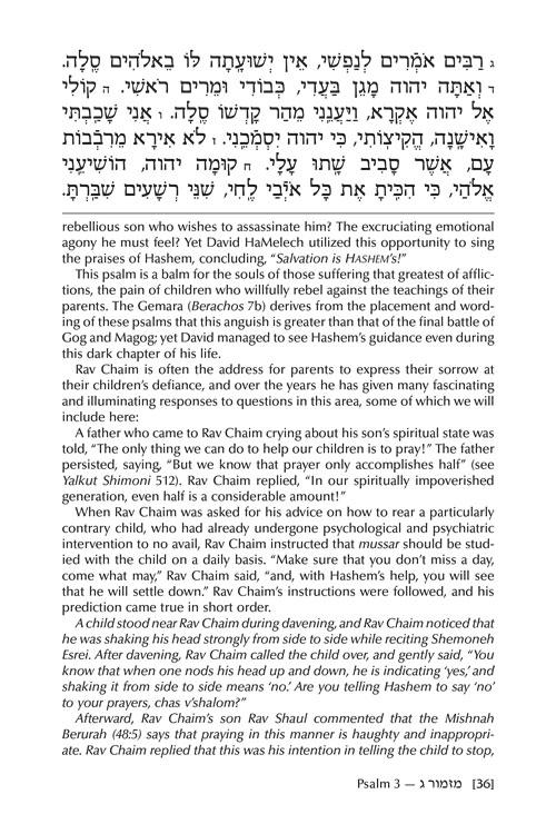 Rav Chaim Kanievsky on Tehillim – Jaffa Family Edition – תמונה 8